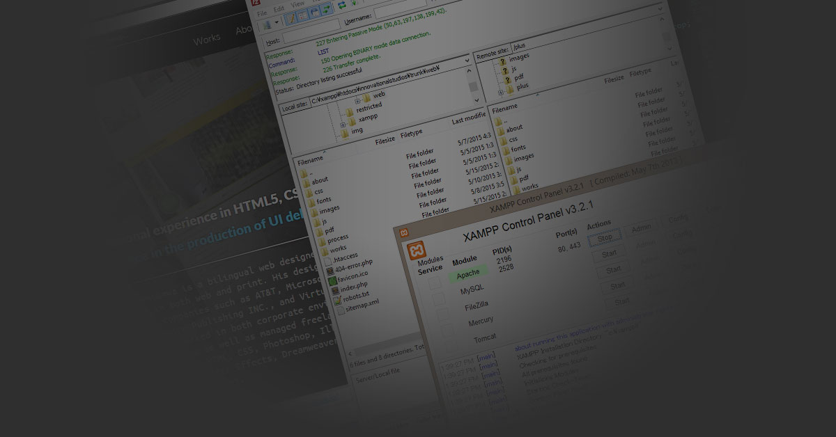 Developing the Website
